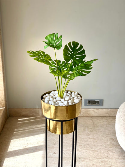 Artificial Monstera Plant - 2 Feet