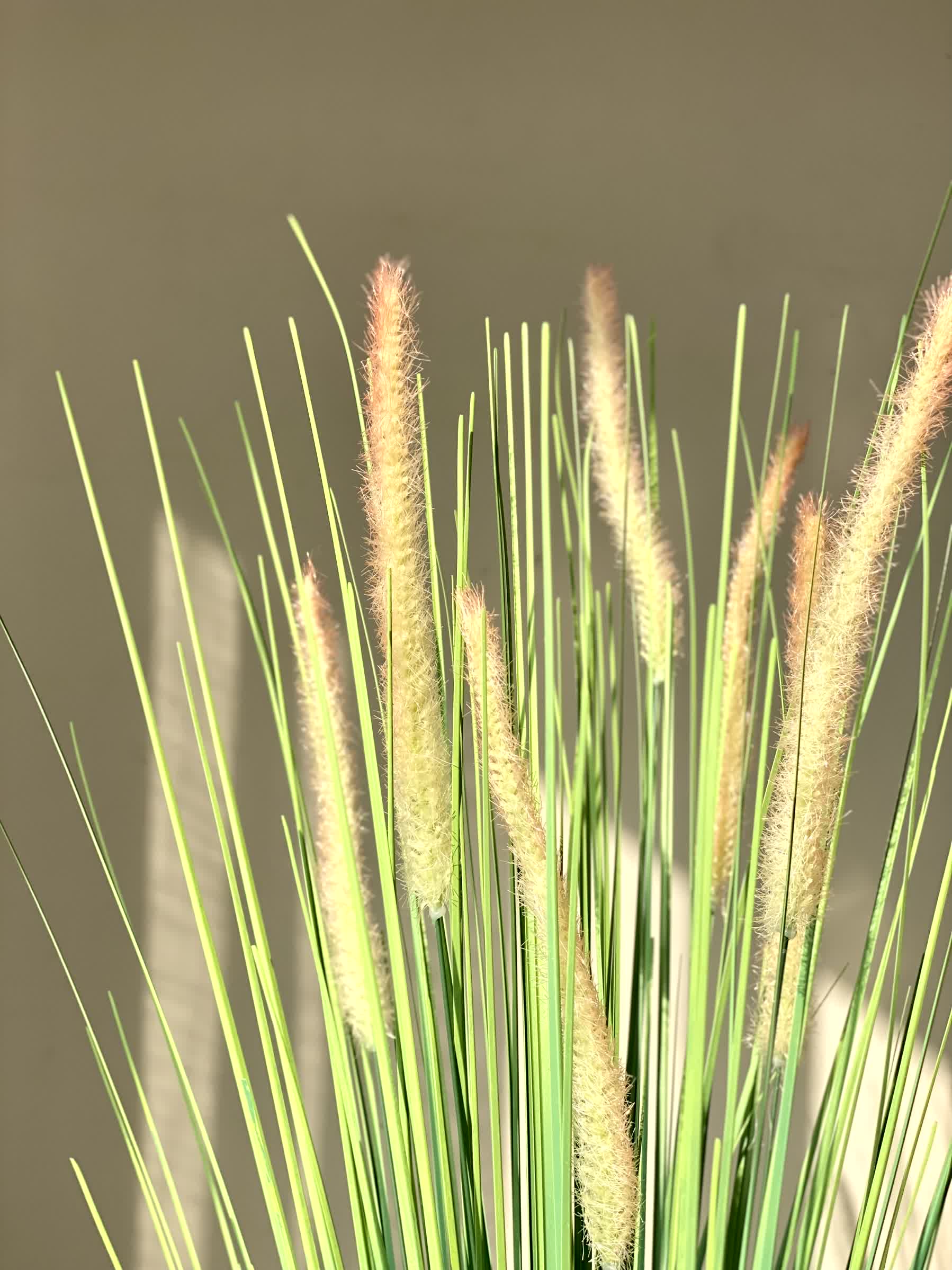 Artificial Sage Pampas Grass Bunch - 3 Feet