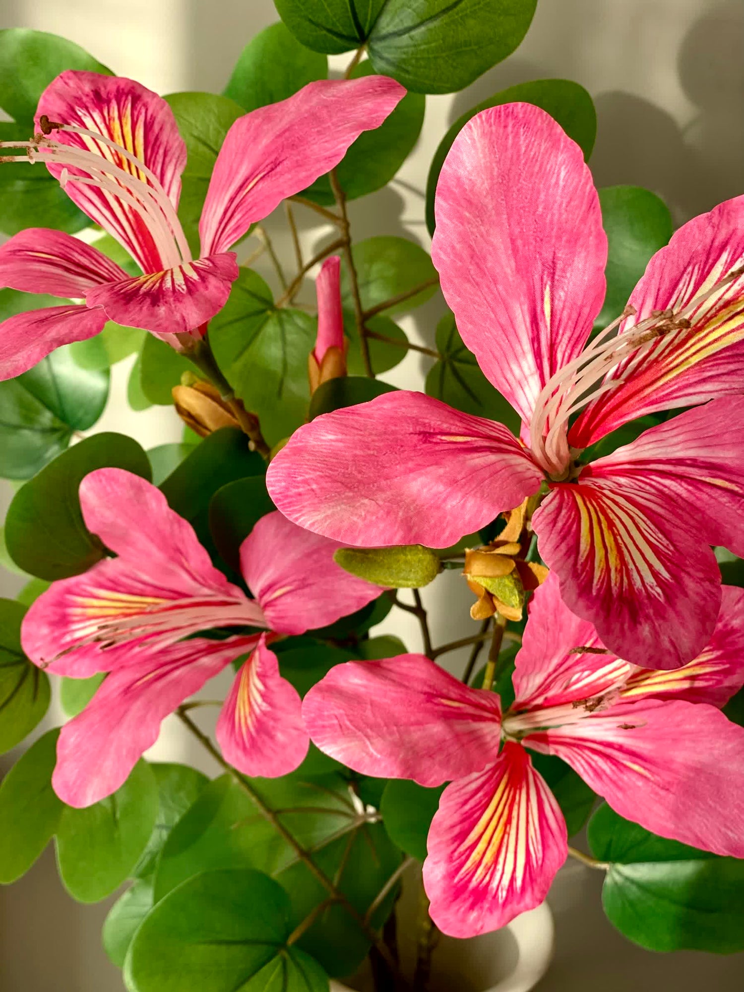 Artificial Bauhinia Flower Stem - Pink (Set Of 2)