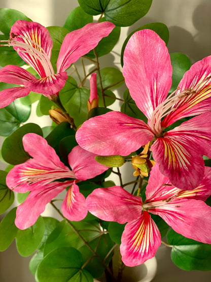 Artificial Bauhinia Flower Stem - Pink (Set Of 2)