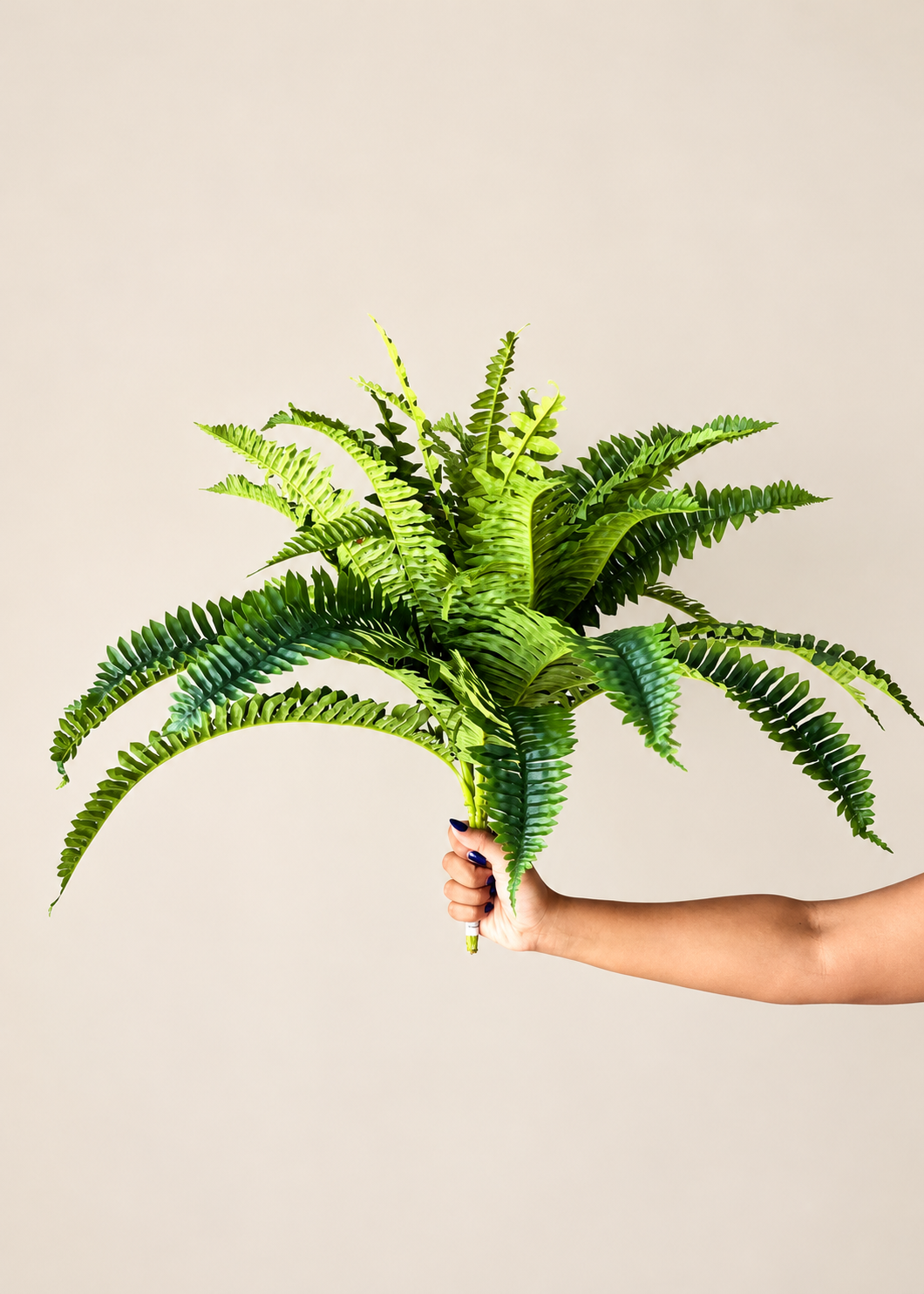 Artificial Sword Fern Plant - 1.8 Feet