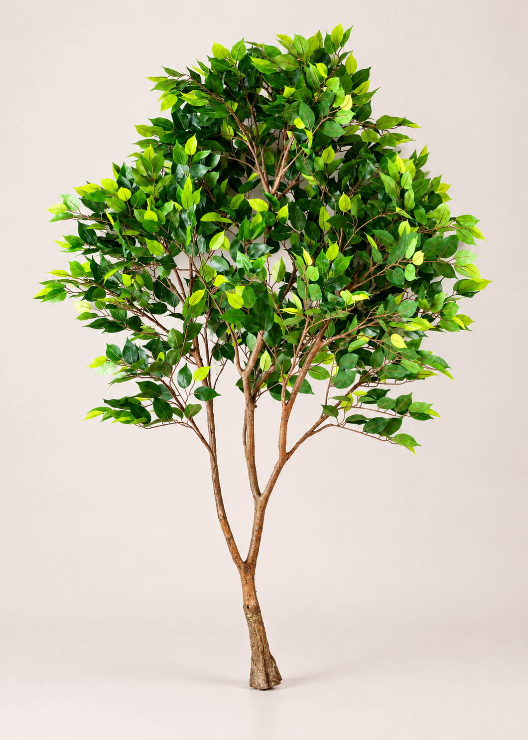 Artificial Weeping Fig Trio Plant  - 6.5 Feet