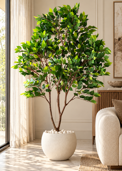 Artificial Weeping Fig Trio Plant  - 6.5 Feet