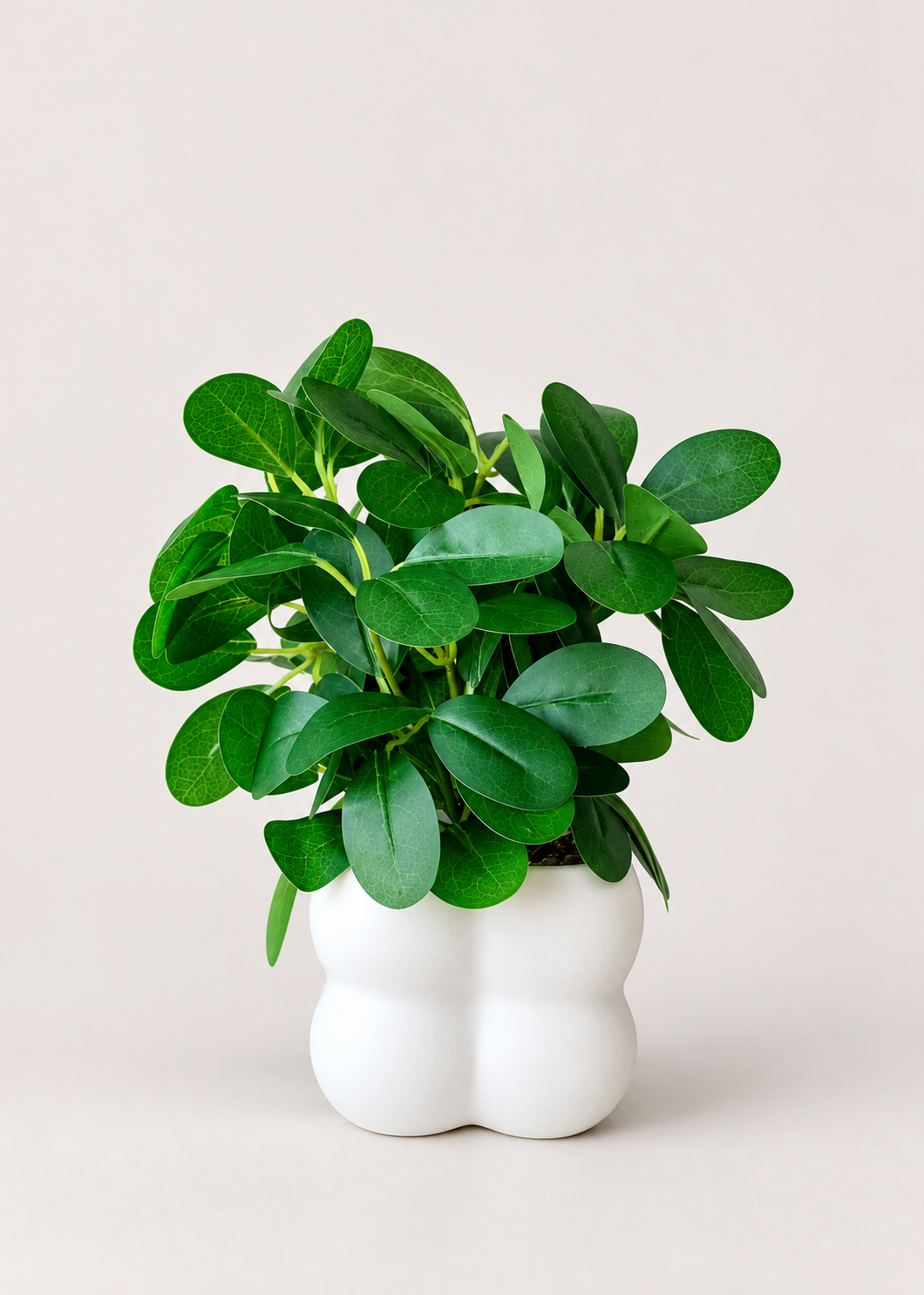 Artificial Jade Bloom Plant
