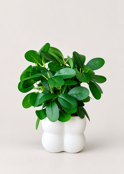 Artificial Jade Bloom Plant