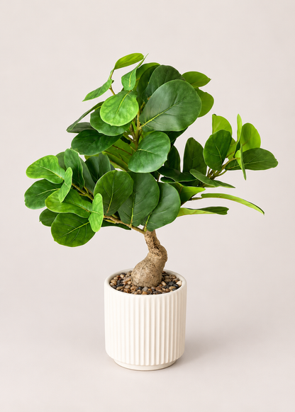 Artificial Woodland Ficus Plant