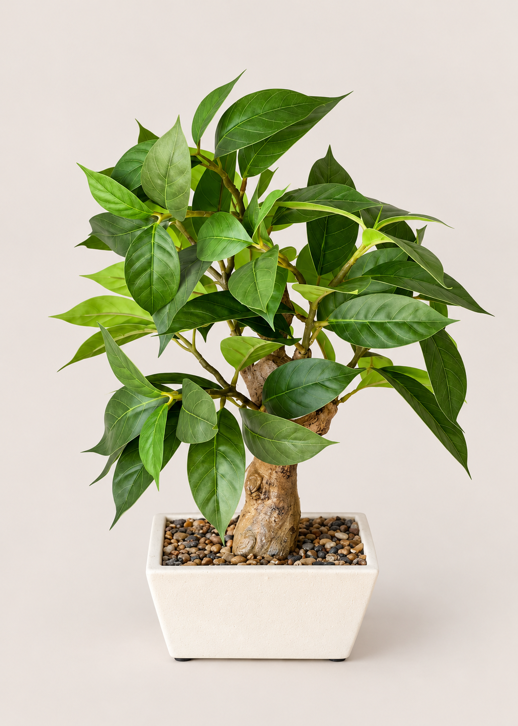 Artificial Jade Leaf Bonsai Plant