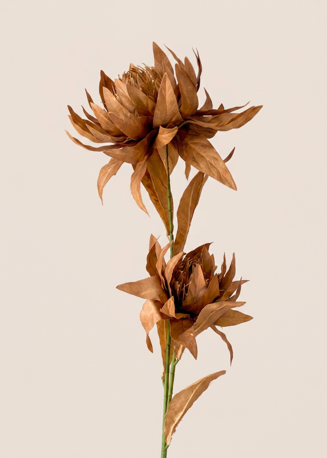 Artificial Portea Flower Stem - (One Stem) Brown