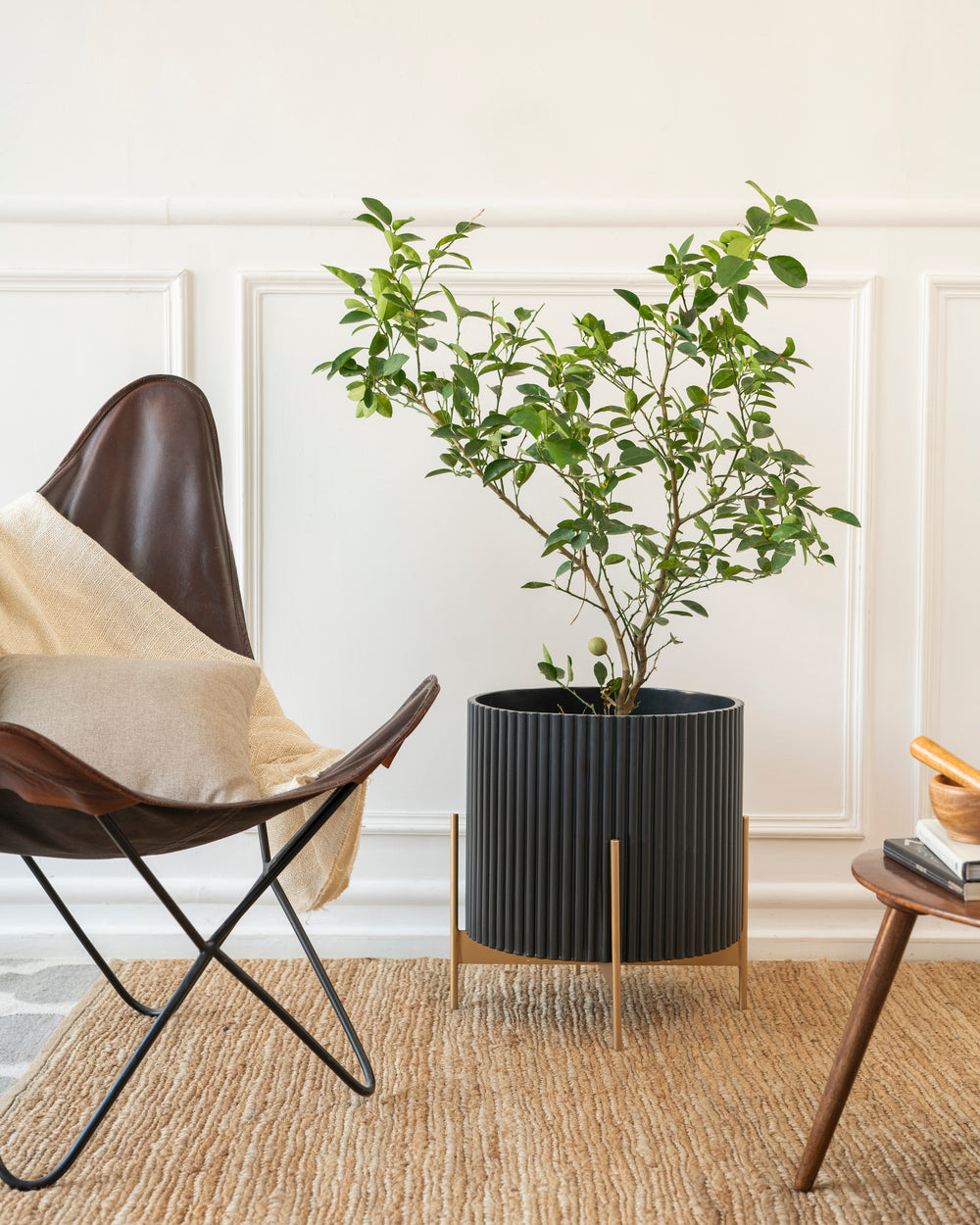 Extra Large Midori Planter With Stand - Black