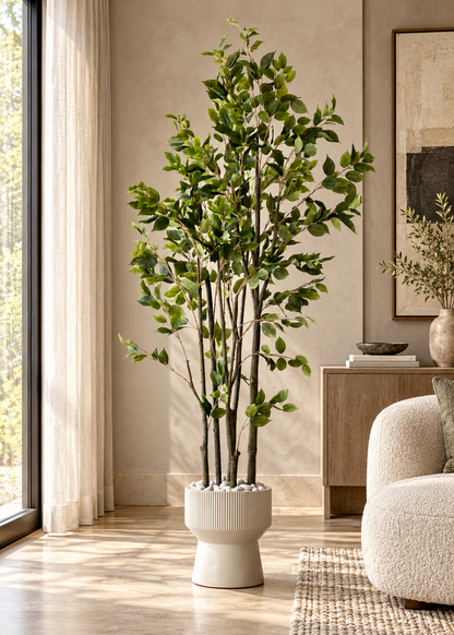 Artificial Weeping Fig Plant  - 6.2 Feet