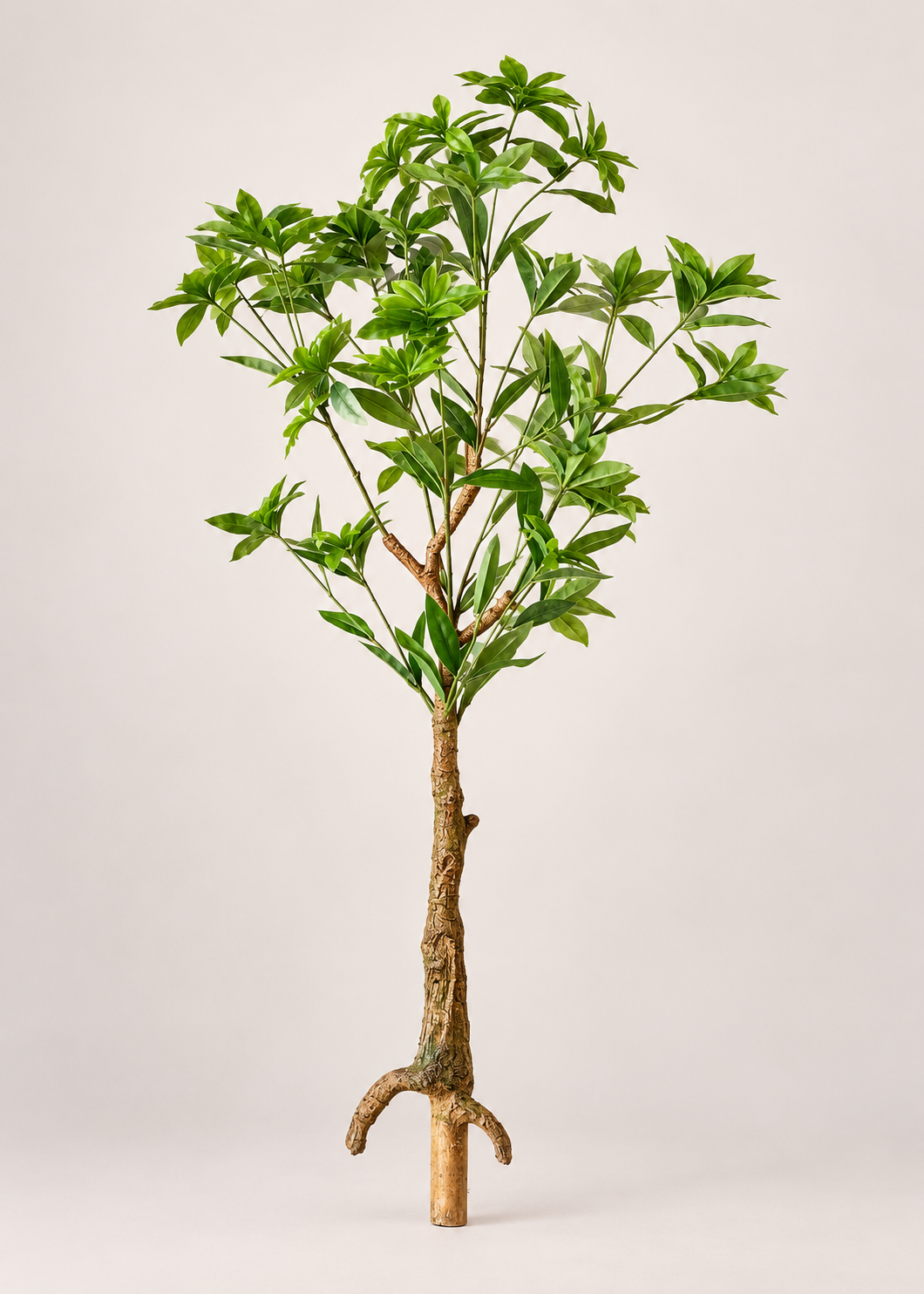 Artificial Aralia Green Plant - 4 Feet