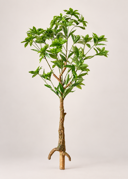 Artificial Aralia Green Plant - 4 Feet