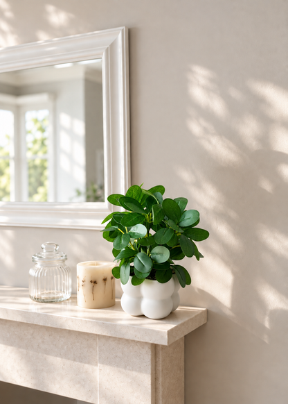 Artificial Jade Bloom Plant
