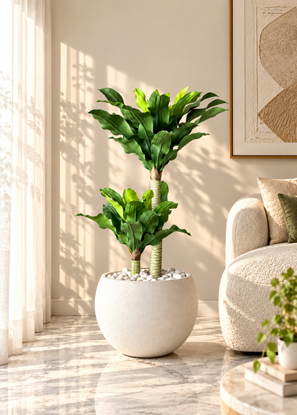 Artificial Twin Crown Dracaena Plant - 3.5 Feet