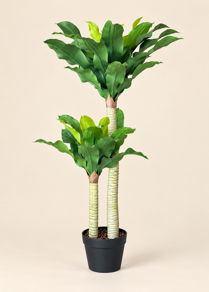 Artificial Twin Crown Dracaena Plant - 3.5 Feet