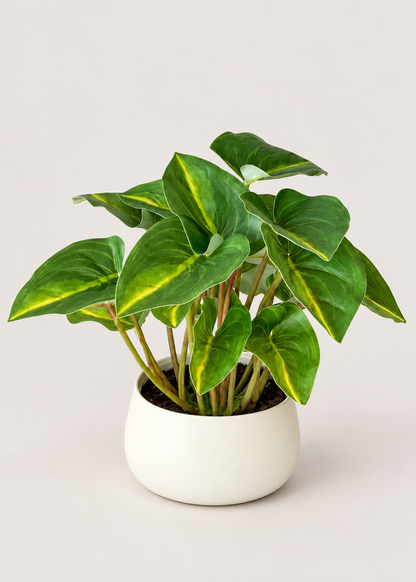 Artificial Green Calathea Foliage Plant