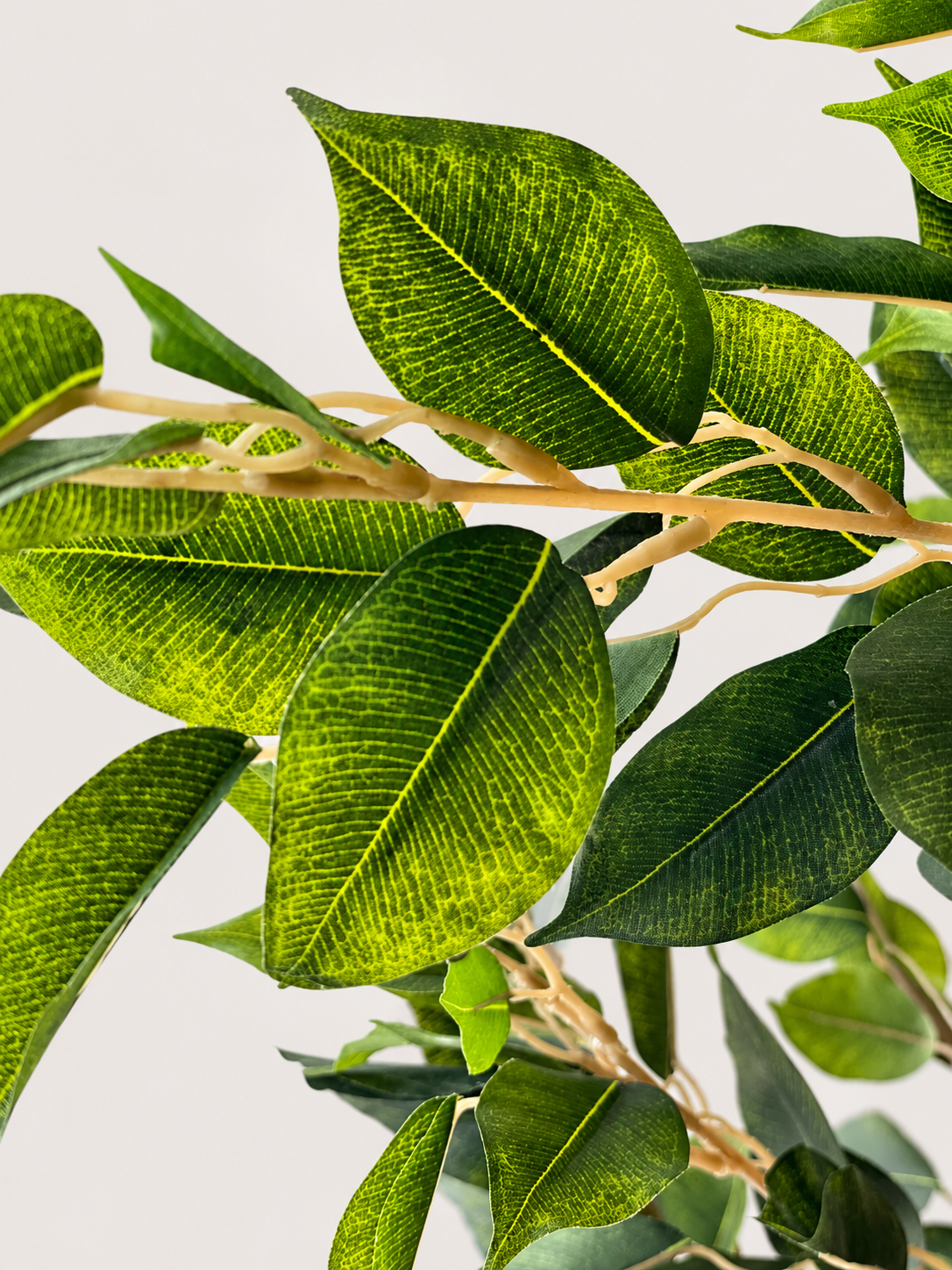 Artificial Weeping Fig Plant  - 6.2 Feet