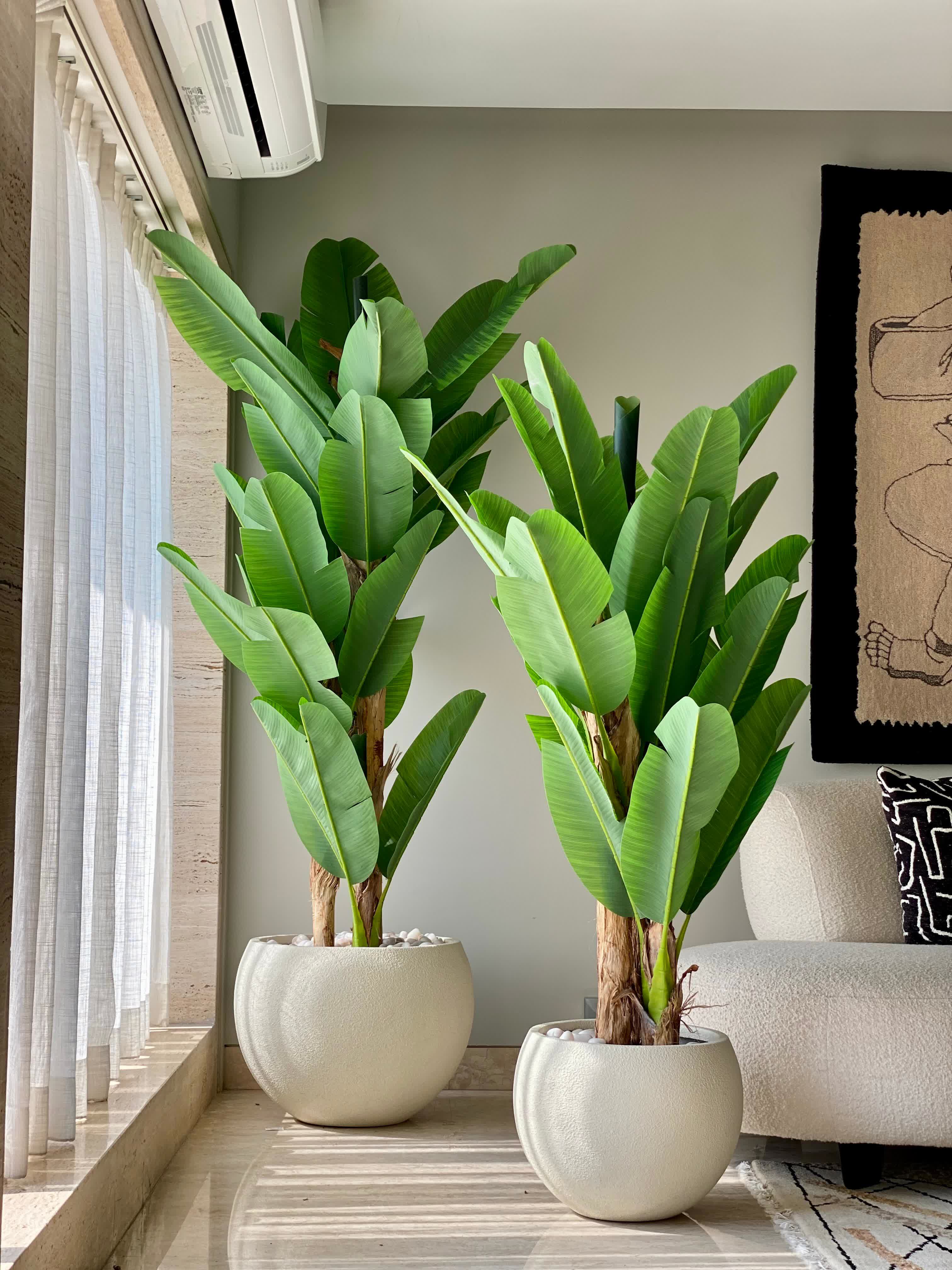 Artificial Banana Palm Tree - 7 Feet