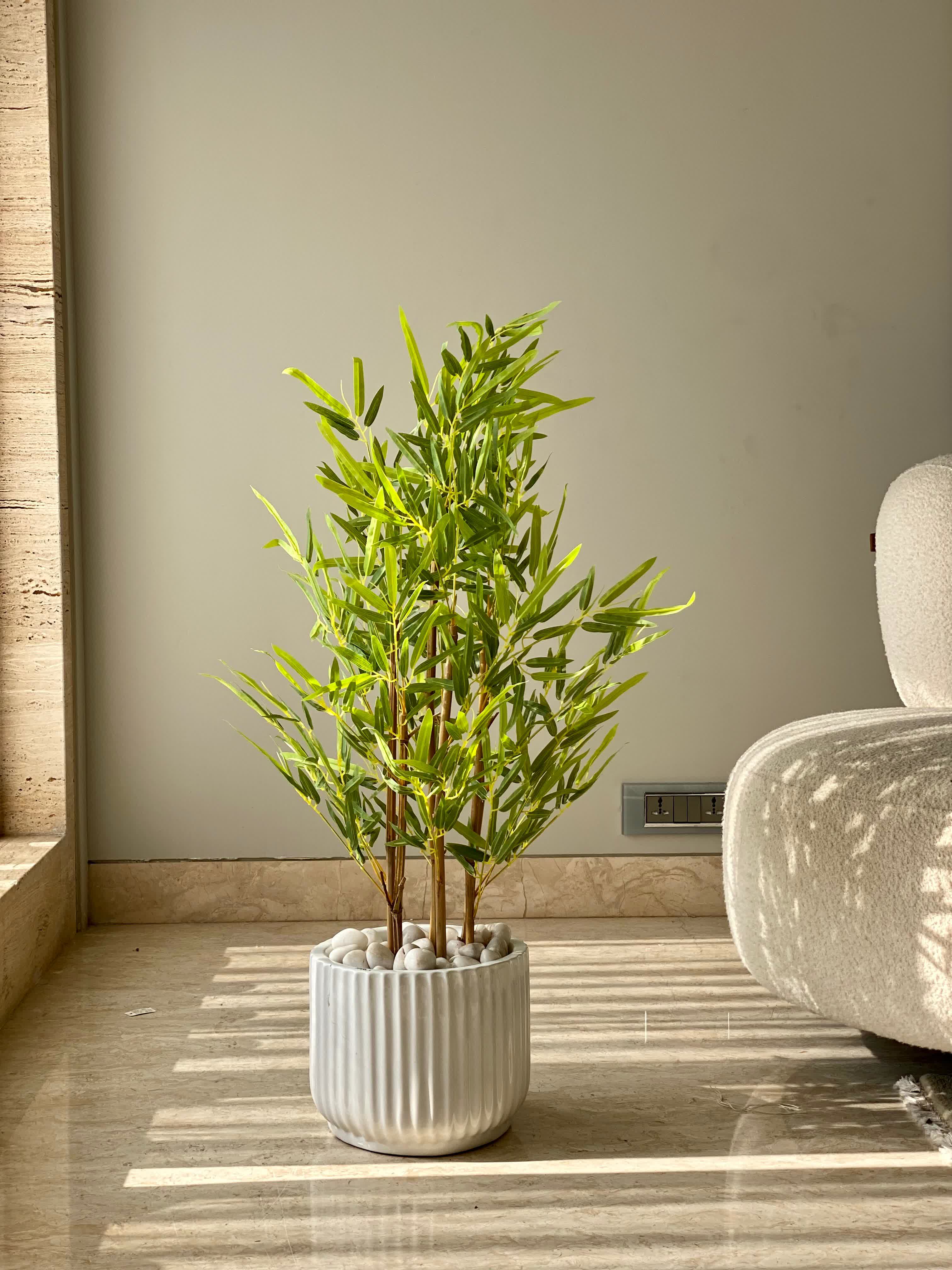 Artificial Japanese Bamboo Tree - 3 Feet