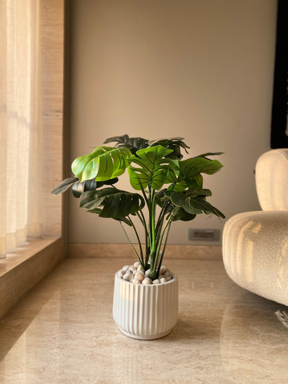 Artificial Monstera Plant (2 Feet)