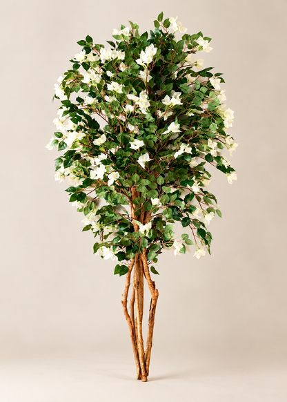 Artificial Regal White Bougainvillea Plant - 6 Feet