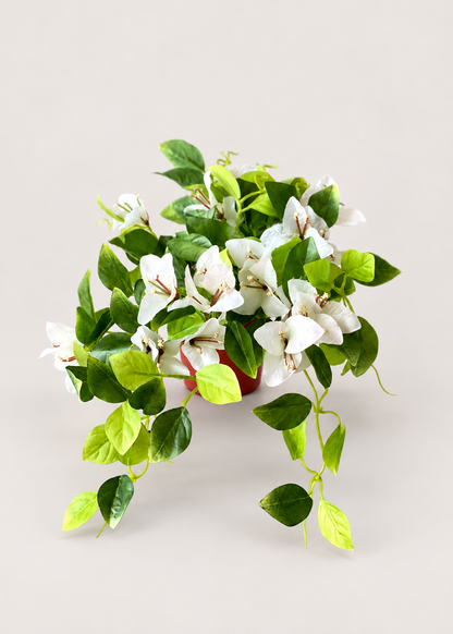 Artificial White Bougainvillea Vine Plant