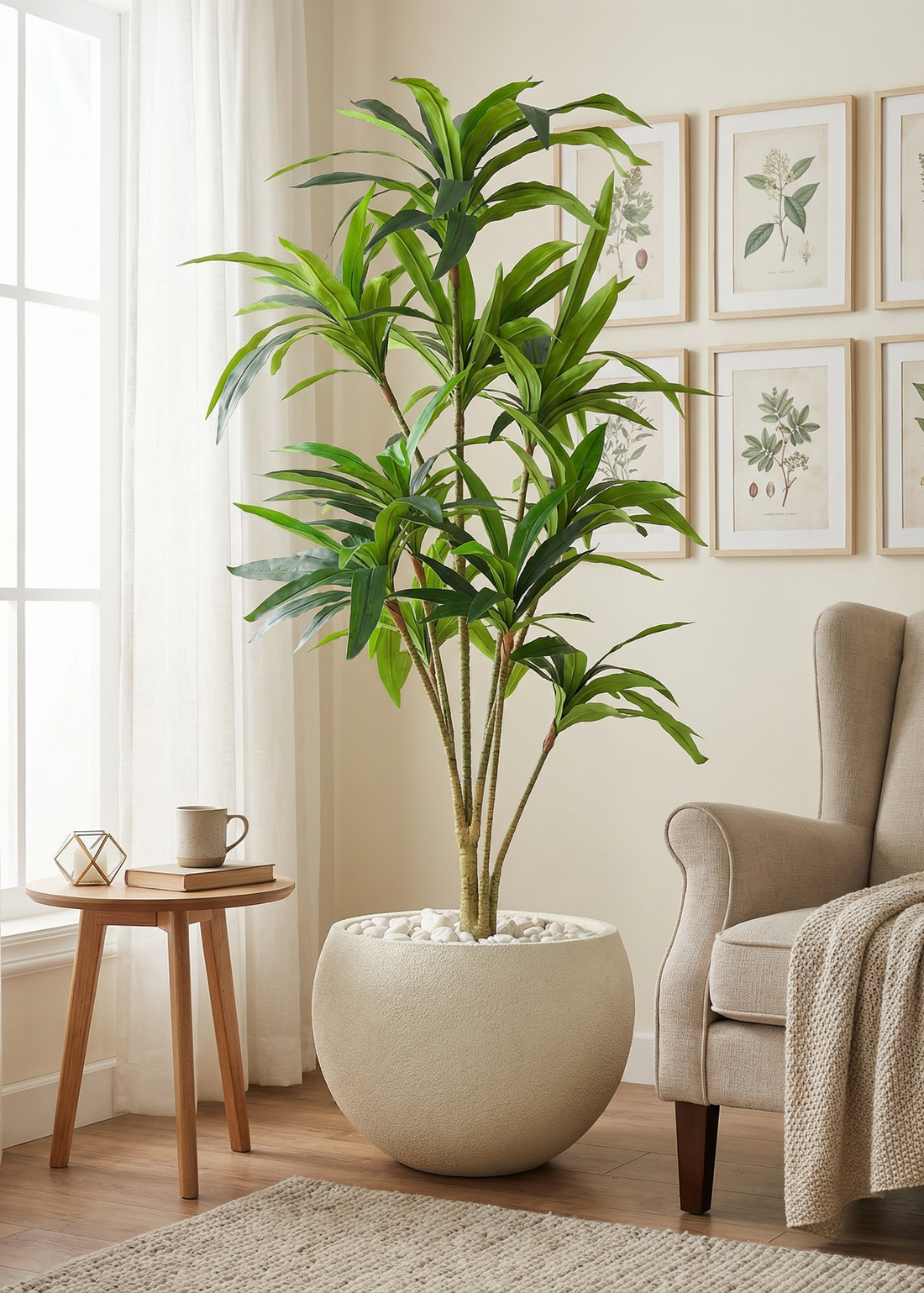 Artificial Botanic Dracaena Plant -  6 Feet