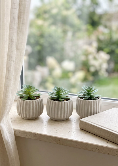 Artificial Beige Succulent - Set of 3