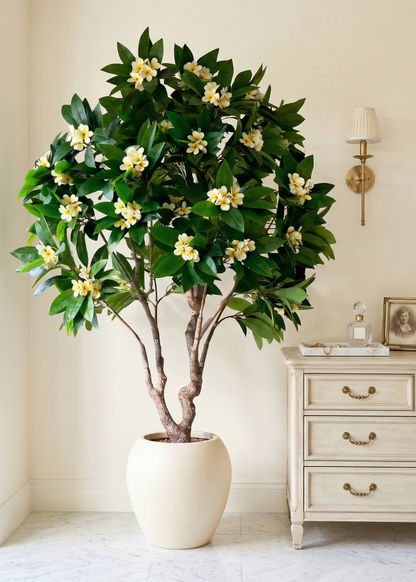 Artificial Frangipani Plant + Pot - 7.7 Feet (White)