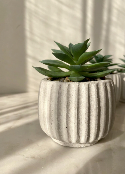 Artificial Beige Succulent - Set of 3