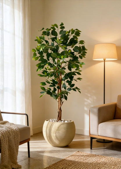 Artificial Grove Ficus Plant - 5 Feet
