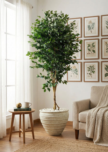 Artificial Grand Ficus Plant - 8.5 Feet