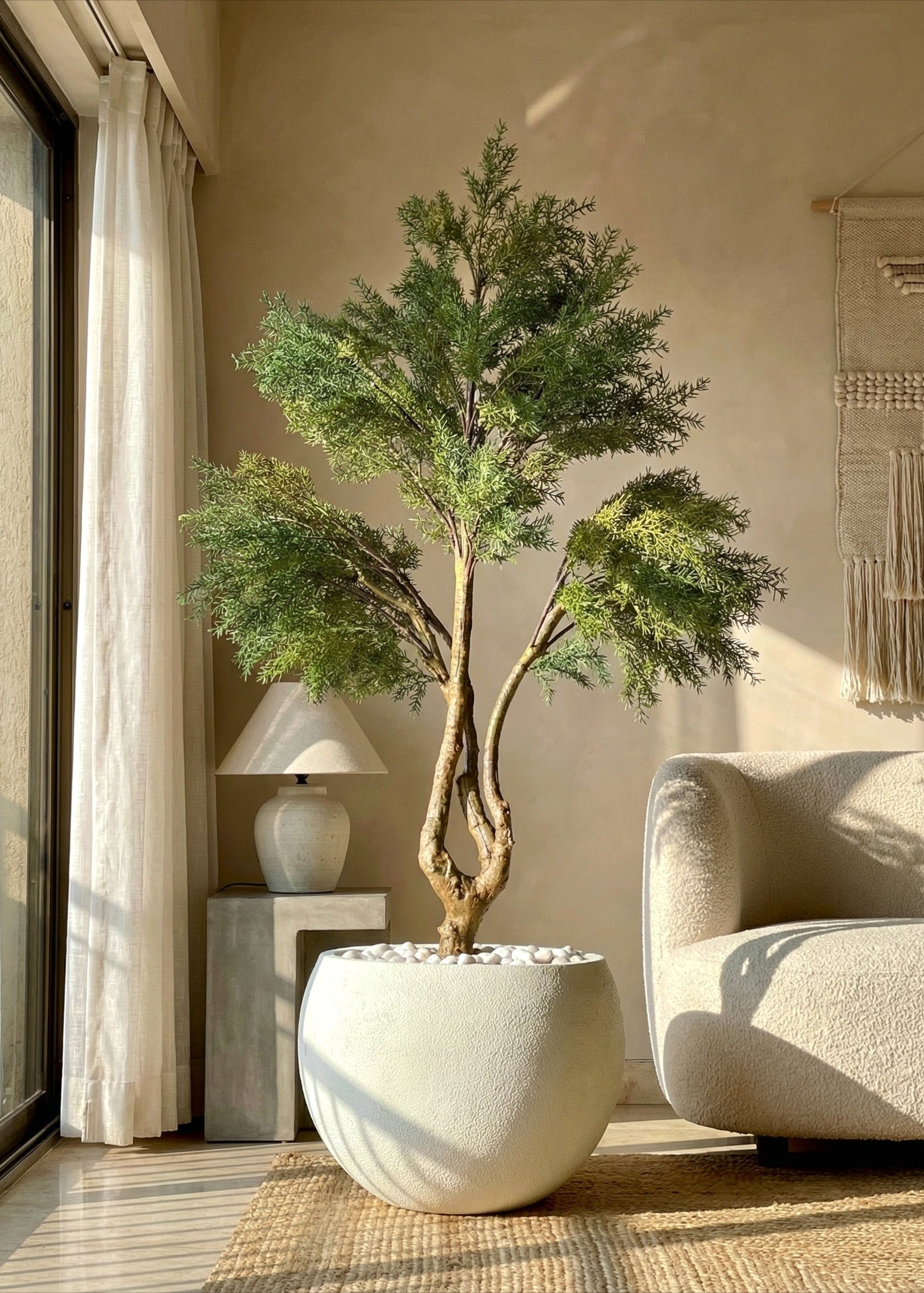 Artificial Australian Cedar Plant + Black Pot - 5.5 Feet