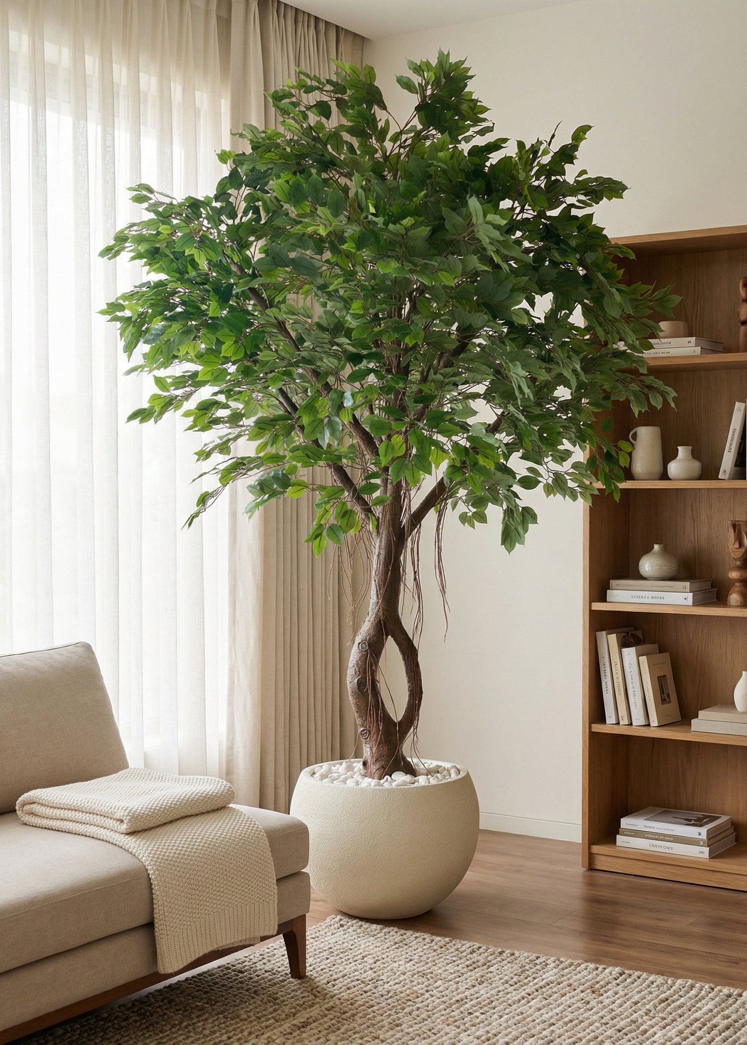 Artificial Grandiose Ficus Plant - 8 Feet