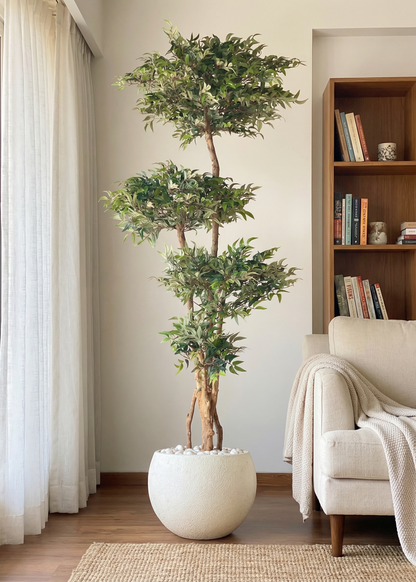 Artificial Ruscus Lush Plant - 6 Feet