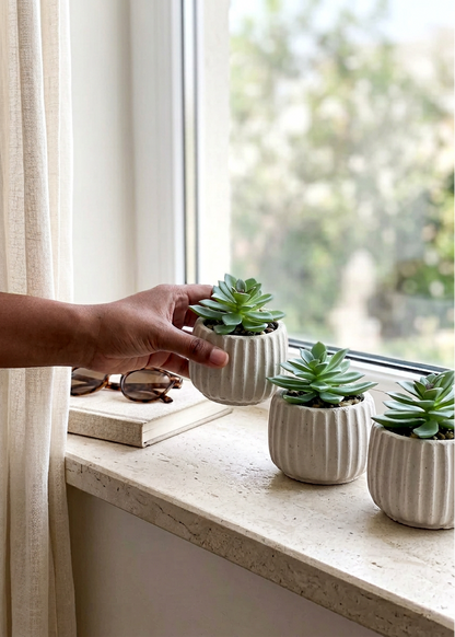 Artificial Beige Succulent - Set of 3
