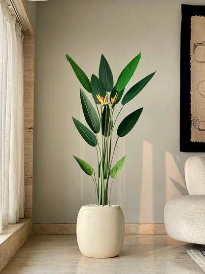 Artificial Strelitzia Plant - 5 Feet