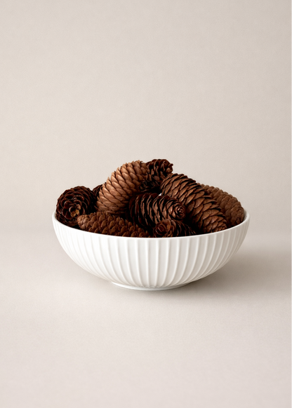 Rustic Pinecones Pack