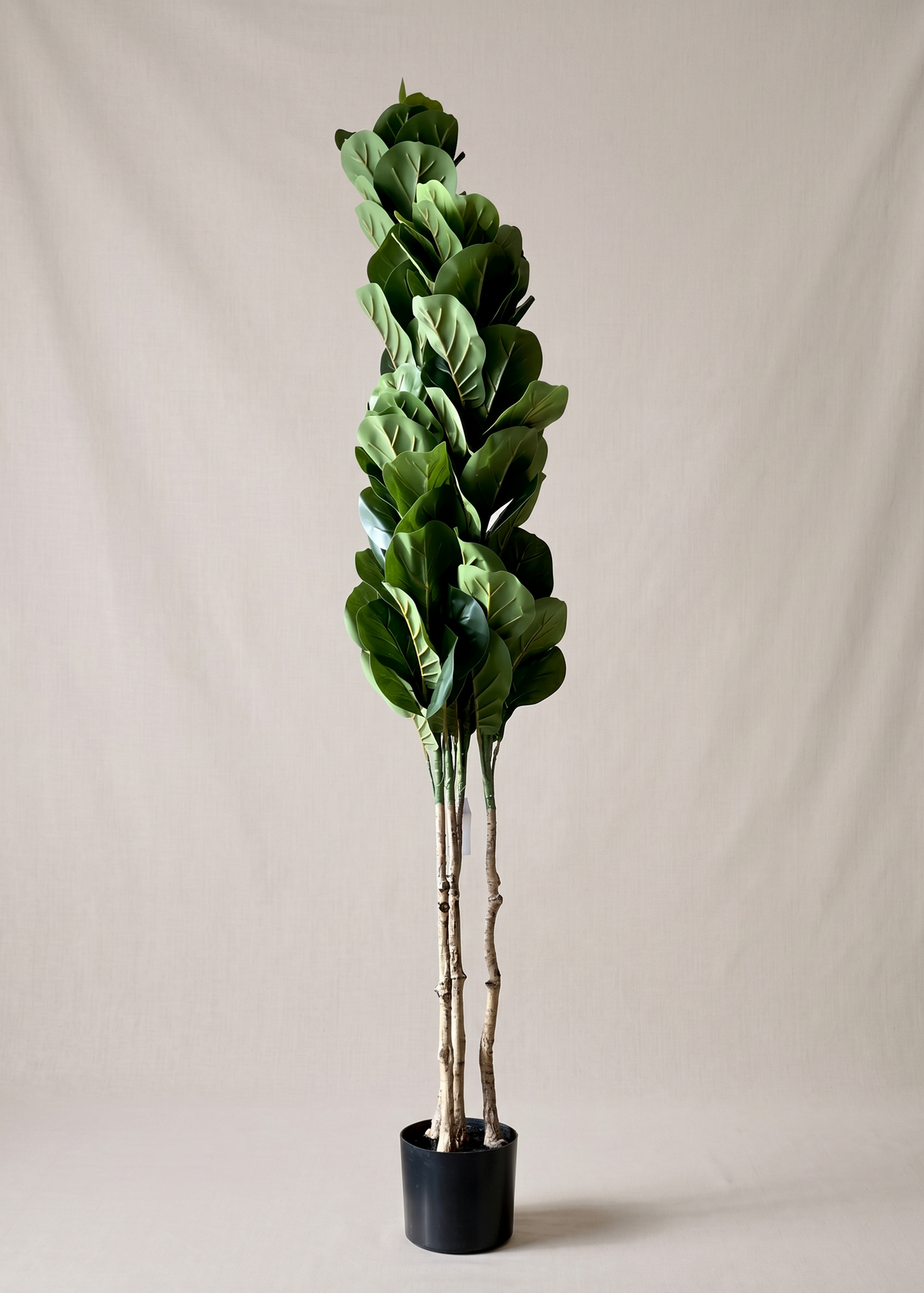 Artificial Fiddle Leaf Fig Tree - 6 Feet