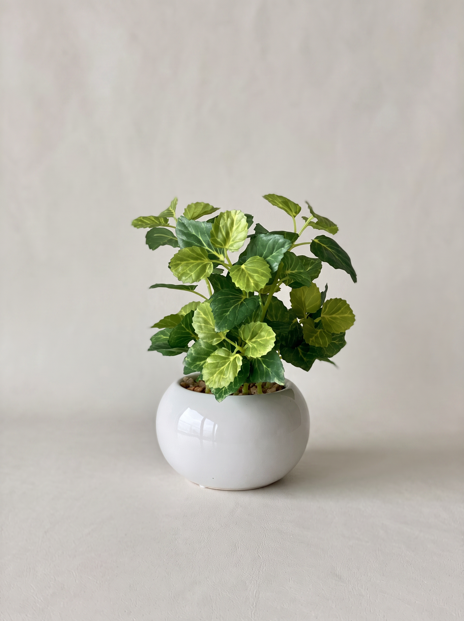 Artificial Variegated Aralia Plant