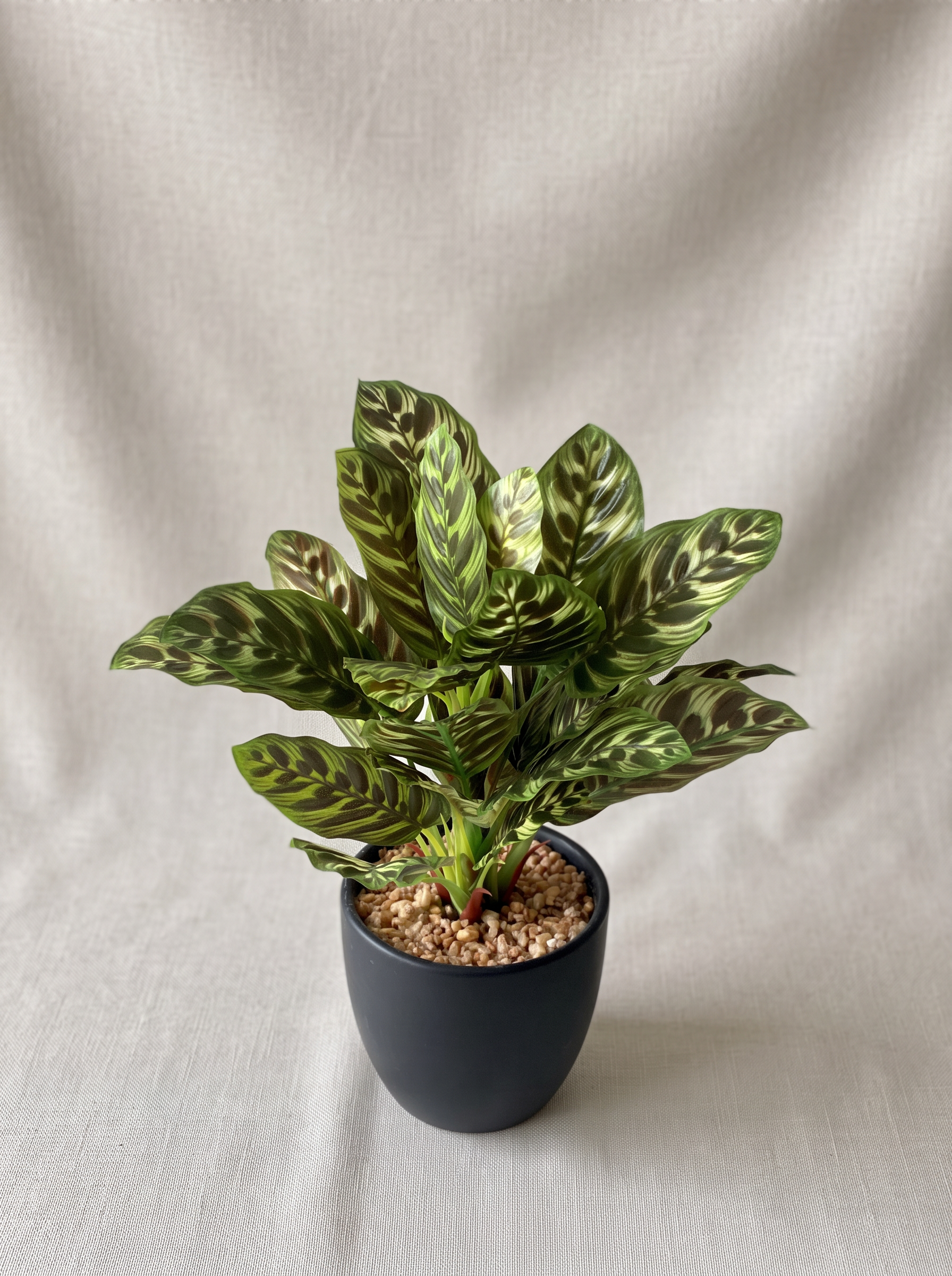 Artificial Calathea Plant