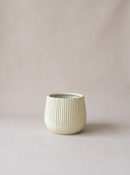 Cassan Planters Ivory