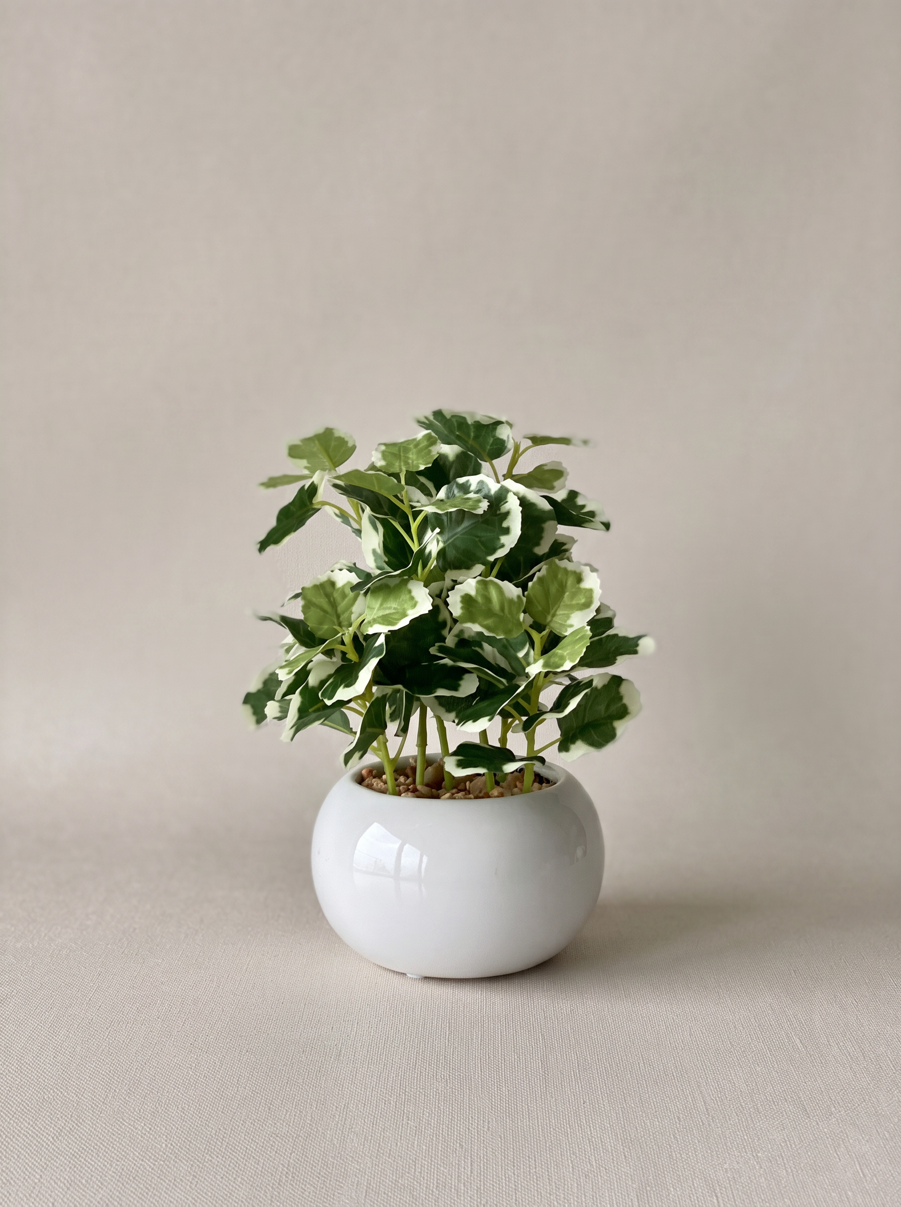 Artificial Variegated Swedish Ivy Plant