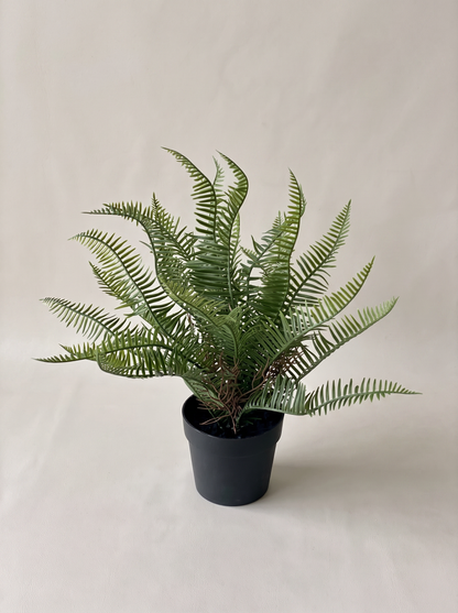 Artificial Sword Fern Plant - Feet