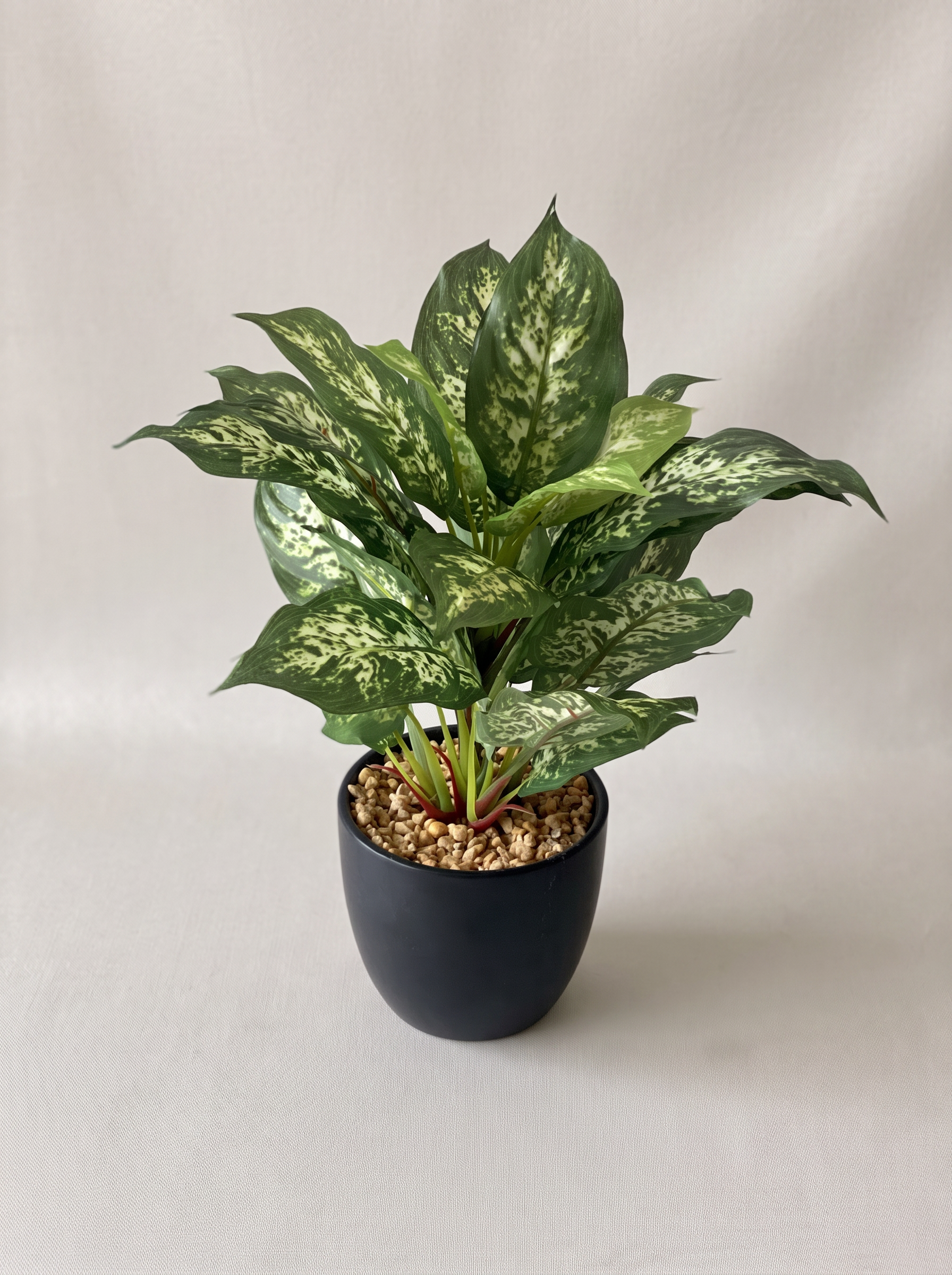 Artificial Dieffenbachia Plant