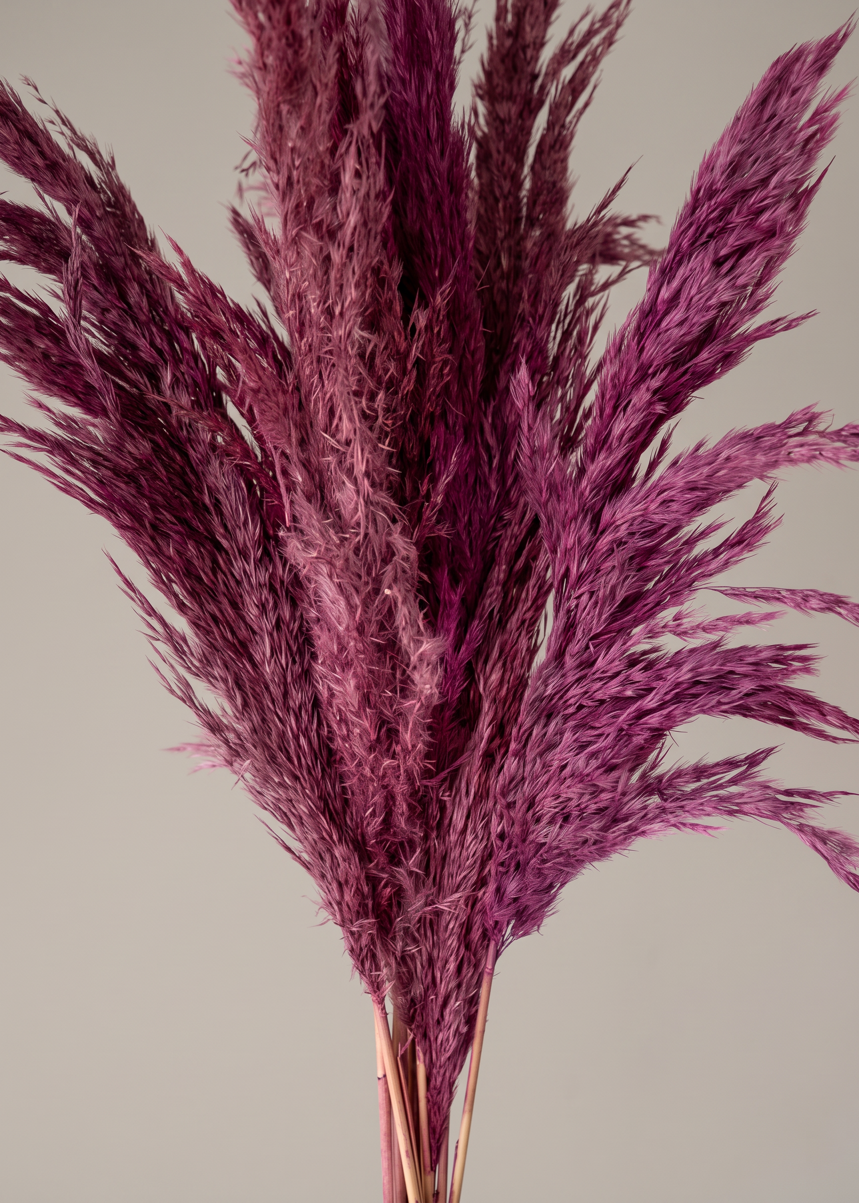 Artificial Feather Pampas Bunch - Pink