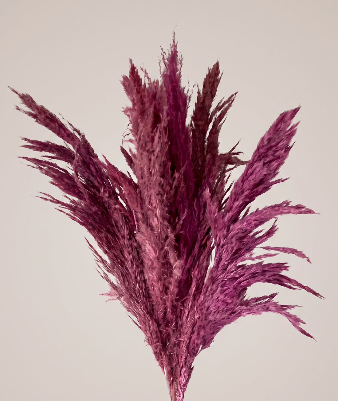 Artificial Feather Pampas Bunch - Pink