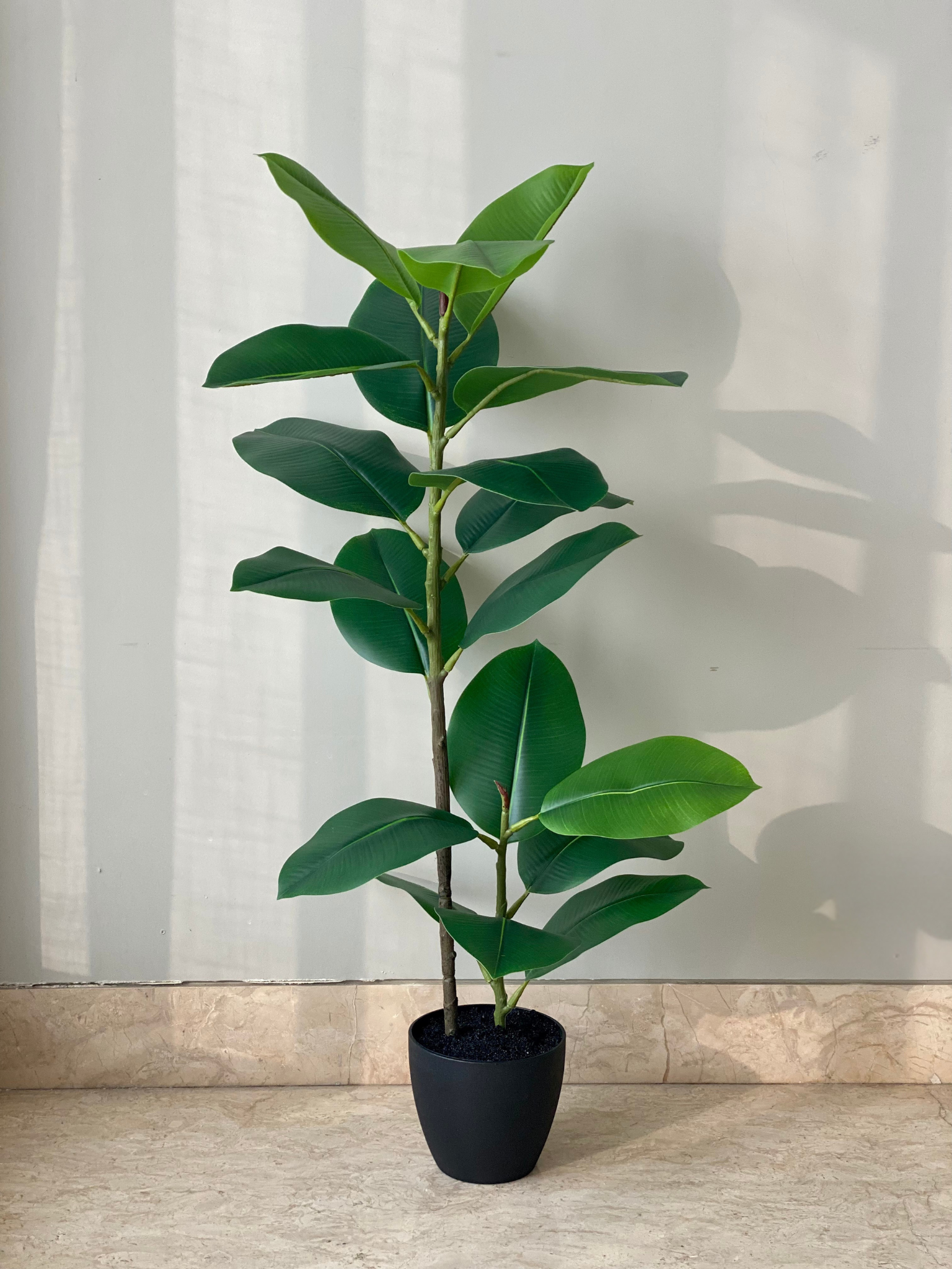 Artificial Ficus Elastica Plant - 3 Feet