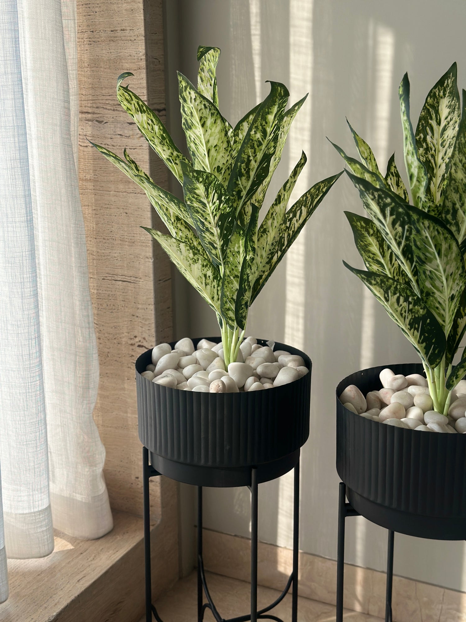 Beverly Fluted Planter (Set of 2) - Charcoal