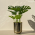 SAFI PLANTER GOLD - Mason Home by Amarsons - Lifestyle & Decor